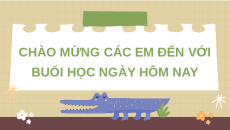 Giáo án Powerpoint Ôn tập chương 4 Công nghệ 7 Kết nối tri thức