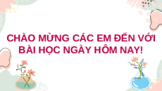 Giáo án Powerpoint Bài 28: Thực hành KHTN 6 Kết nối tri thức