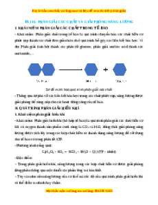 Lý thuyết Sinh học 10 Chân trời sáng tạo Bài 16: Phân giải các chất và giải phóng năng lượng