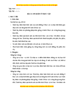 Giáo án Sinh sản ở sinh vật Sinh học 11 Cánh diều