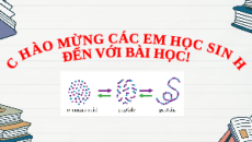 Giáo án Powerpoint Ôn tập chương 3 Hóa học 12 Kết nối tri thức