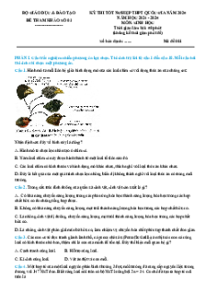 Bộ 52 Đề thi tốt nghiệp Sinh học 2025 (form mới)