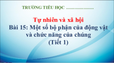 Giáo án Powerpoint Bài 15: Một số bộ phân của động vật và chức năng của chúng Tự nhiên xã hội lớp 3 Kết nối tri thức