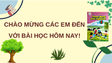 Giáo án Powerpoint Tuần 15 HĐTN lớp 4 Cánh diều