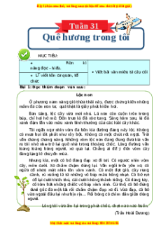 Bài tập cuối tuần Tiếng Việt 4 Tuần 31 Kết nối tri thức (có lời giải)