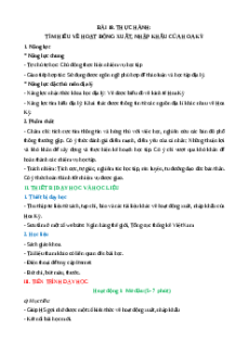 Giáo án Bài 18 Địa lí 11 Cánh diều (2024): Thực hành: Tìm hiểu về hoạt động xuất khẩu, nhập khẩu của Hoa Kỳ