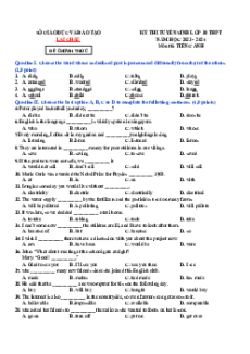 Đề thi vào 10 Tiếng Anh Tỉnh Lai Châu năm 2023-2024