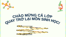 Giáo án Powerpoint Bài 39: Tái bản DNA và phiên mã tạo RNA KHTN 9 Kết nối tri thức