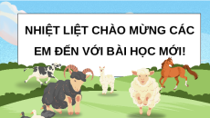 Giáo án Powerpoint Bài 11 Khoa học lớp 5 Cánh diều: Vòng đời của động vật đẻ trứng và động vật đẻ con