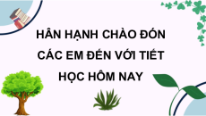 Giáo án Powerpoint Bài 1: Cậu học sinh mới Tiếng việt lớp 3 Chân trời sáng tạo