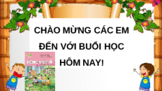 Giáo án Powerpoint Luyện từ và câu: Trạng ngữ (trang 49, 50) Tiếng việt lớp 4 Kết nối tri thức (Phiên bản 2)