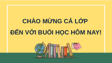 Giáo án Powerpoint Bài 5: Nhân giống vật nuôi Công nghệ chăn nuôi 11 Kết nối tri thức