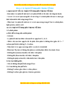 Lý thuyết Sinh học 10 Chân trời sáng tạo Bài 6: Các phân tử sinh học trong tế bào