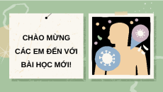 Giáo án Powerpoint Bài 16 Khoa học lớp 5 Cánh diều: Quá trình phát triển của con người