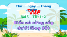 Giáo án Powerpoint Bài 5: Biển và rừng cây dưới lòng đất Tiếng việt lớp 4 Chân trời sáng tạo