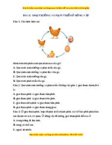 Trắc nghiệm Sinh trưởng và phát triển ở động vật KHTN 7 Cánh diều