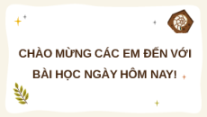 Giáo án Powerpoint Chủ đề E4 Bài 8 Tin học 9 Cánh diều