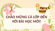 Giáo án Powerpoint Dãy số Toán 11 Cánh diều