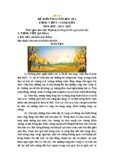 Đề thi cuối kì 1 Tiếng Việt lớp 5 Cánh Diều (Đề 10)