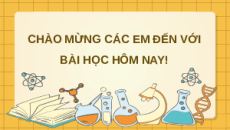Giáo án Powerpoint Cảm ứng ở thực vật Sinh học 11 Kết nối tri thức