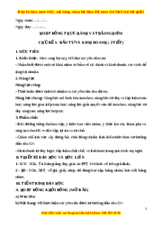 Giáo án Hoạt động thực hành và trải nghiệm Toán 6 Cánh diều