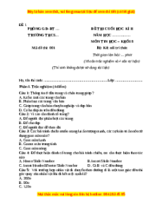 Đề thi cuối kì 2 Tin học 8 Kết nối tri thức (Đề 1)