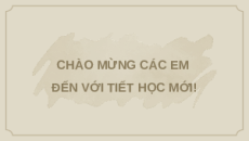 Giáo án Powerpoint Bài 20 KTPL 10 Cánh diều: Hệ thống pháp luật Việt Nam