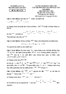 Đề thi HSG Toán 11 Trường THPT Chuyên Lào Cai
