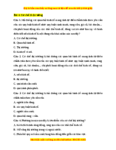 Trắc nghiệm Bài 4 KTPL 10 Kết nối tri thức: Cơ chế thị trường