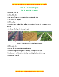 Lý thuyết Công nghệ 10 Trồng trọt Cánh diều Bài 16: Quy trình trồng trọt