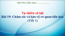 Giáo án Powerpoint Bài 19: Chăm sóc và bảo vệ cơ quan tiêu hóa Tự nhiên xã hội lớp 3 Kết nối tri thức