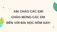 Giáo án Powerpoint Đọc: Điều ước của vua Mi-đát (trang 26, 27) Tiếng việt lớp 4 Chân trời sáng tạo (Phiên bản 2)