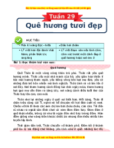 Bài tập cuối tuần Tiếng việt lớp 3 Tuần 29 Chân trời sáng tạo (có lời giải)