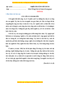 Bài tập cuối tuần Tiếng việt lớp 2 Tuần 32 Chân trời sáng tạo (có lời giải)