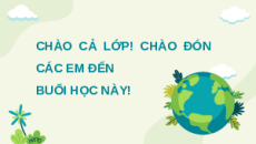 Bài giảng Powerpoint Bài 26: Xây dựng thế giới xanh - sạch - đẹp