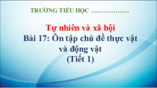 Giáo án Powerpoint Bài 17: Ôn tập chủ đề thực vật và động vật Tự nhiên xã hội lớp 3 Kết nối tri thức