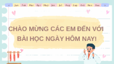 Giáo án Powerpoint Thực hành nhận biết một số phân tử sinh học Sinh học 10 Kết nối tri thức