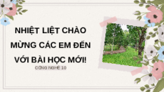 Giáo án Powerpoint Bài 9: Kĩ thuật trồng đỗ quyên Chuyên đề Công nghệ trồng trọt 10 Kết nối tri thức