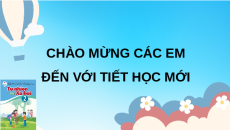 Giáo án Powerpoint Chủ đề 4 Bài 13 Tự nhiên xã hội lớp 2 Cánh diều: Thực hành tìm hiểu môi trường sống của thực vật và động vật
