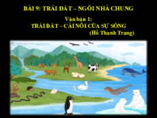 Giáo án powerpoint Bài 9: Trái đất - Ngôi nhà chung | Kết nối tri thức Ngữ văn 6