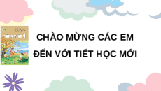 Giáo án Powerpoint Đọc: Bét-tô-ven và Bản xô-nát Ánh trăng (trang 101, 102) Tiếng việt lớp 4 Kết nối tri thức (Phiên bản 2)