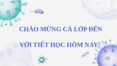 Giáo án Powerpoint Bài 5 Khoa học lớp 5 Chân trời sáng tạo: Ôn tập chủ đề Chất