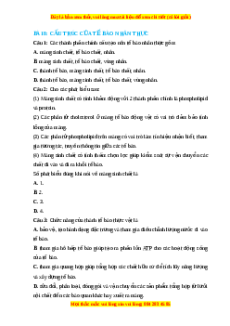 Trắc nghiệm Cấu trúc của tế bào nhân thực Sinh học 10 Cánh diều