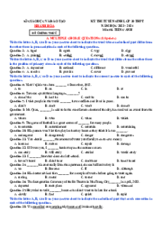 Đề thi vào 10 Tiếng Anh Tỉnh Khánh Hòa năm 2023-2024