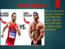 Giáo án Powerpoint Hệ vận động ở người Sinh học - KHTN 8 Kết nối tri thức