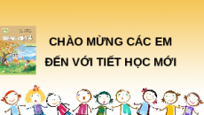 Giáo án Powerpoint Viết: Quan sát con vật (trang 116, 117) Tiếng việt lớp 4 Kết nối tri thức (Phiên bản 2)