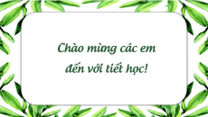 Giáo án Powerpoint Viết văn bản nghị luận về một tác phẩm truyện Ngữ văn 11 Kết nối tri thức