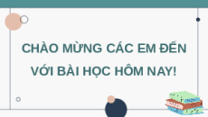 Giáo án Powerpoint Bài 27 Sinh học 11 Chân trời sáng tạo: Cơ thể sinh vật là một hệ thống mở và tự điều chỉnh