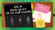 Bài giảng Powerpoint Sinh học - KHTN 8 Kết nối tri thức