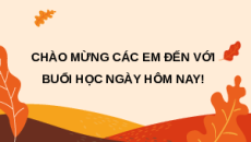 Giáo án Powerpoint Ôn tập chương 1 Công nghệ trồng trọt 10 Kết nối tri thức